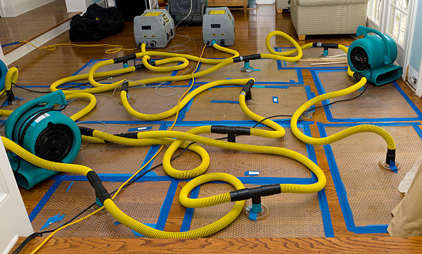 Professional Water Damage Repair technician working in Bloomfield, NY